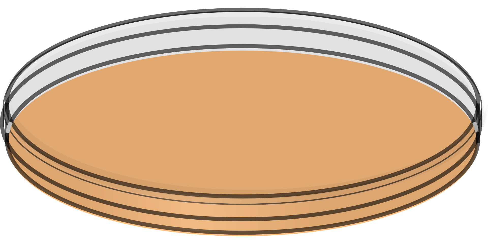 Petri dish in biology free image download