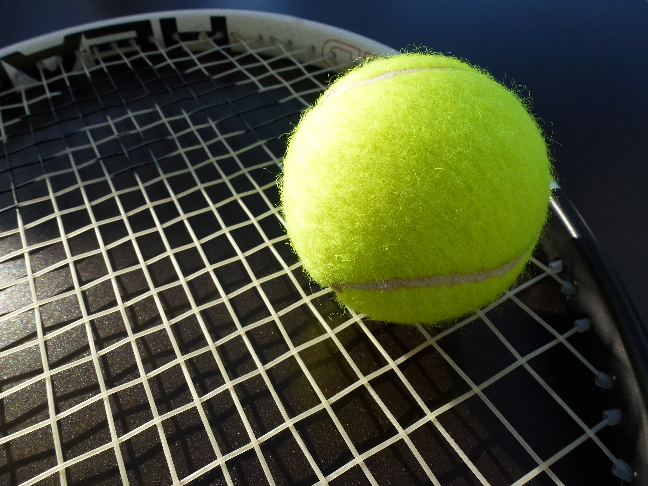 Tennis ball on racket free image download