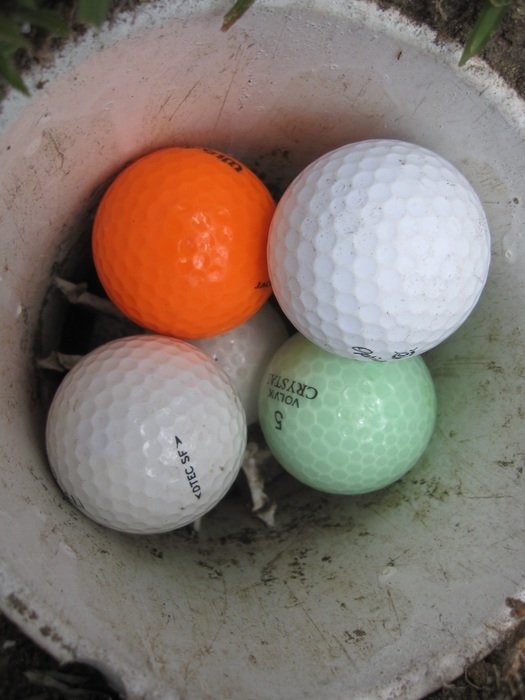 Multicolored golf balls free image download