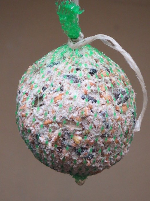 Bird seed fat balls free image download