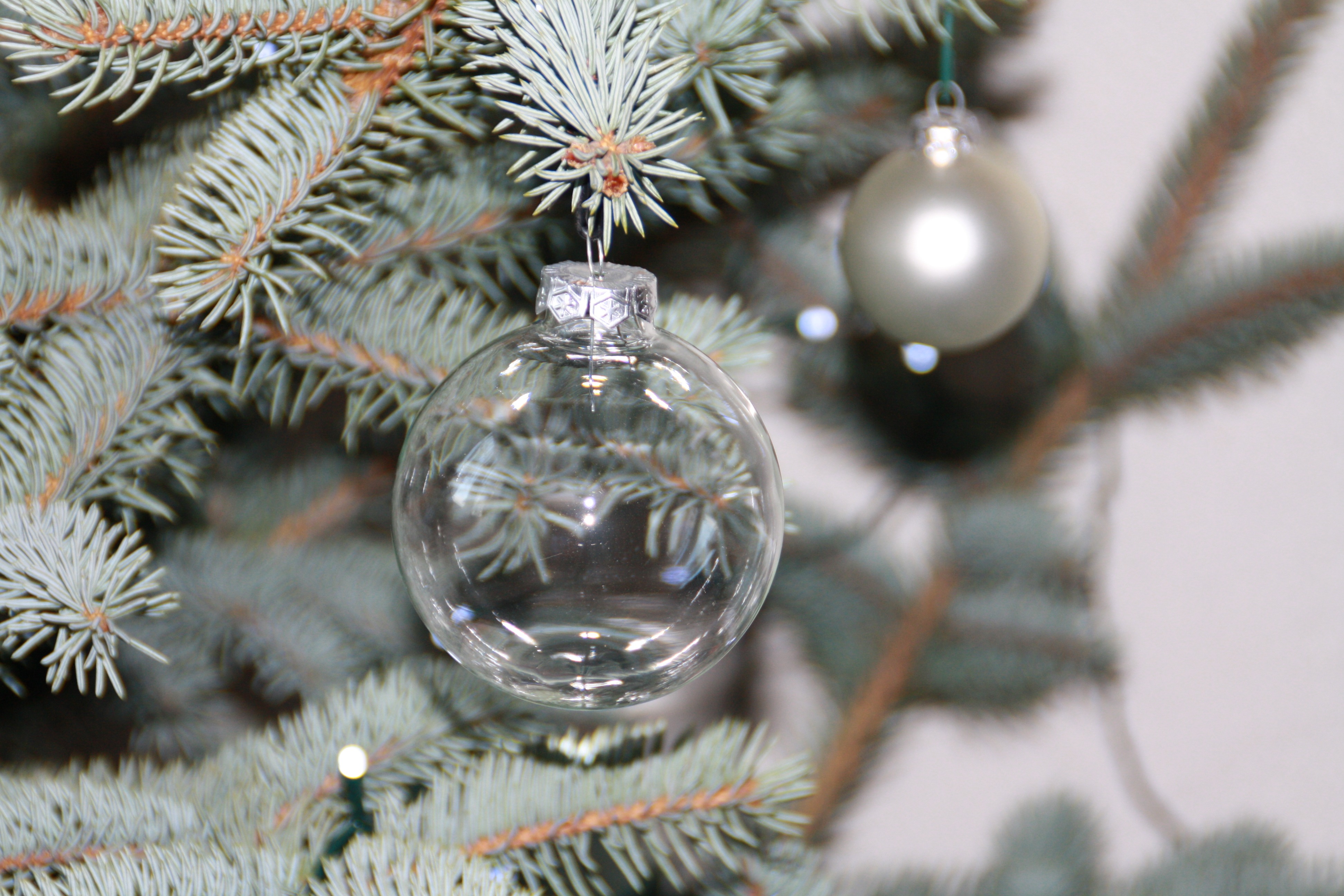 Glass balls on the christmas tree free image download