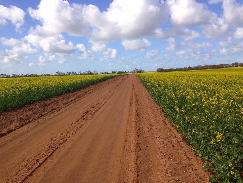 Rural road in the Namibian desert free image download
