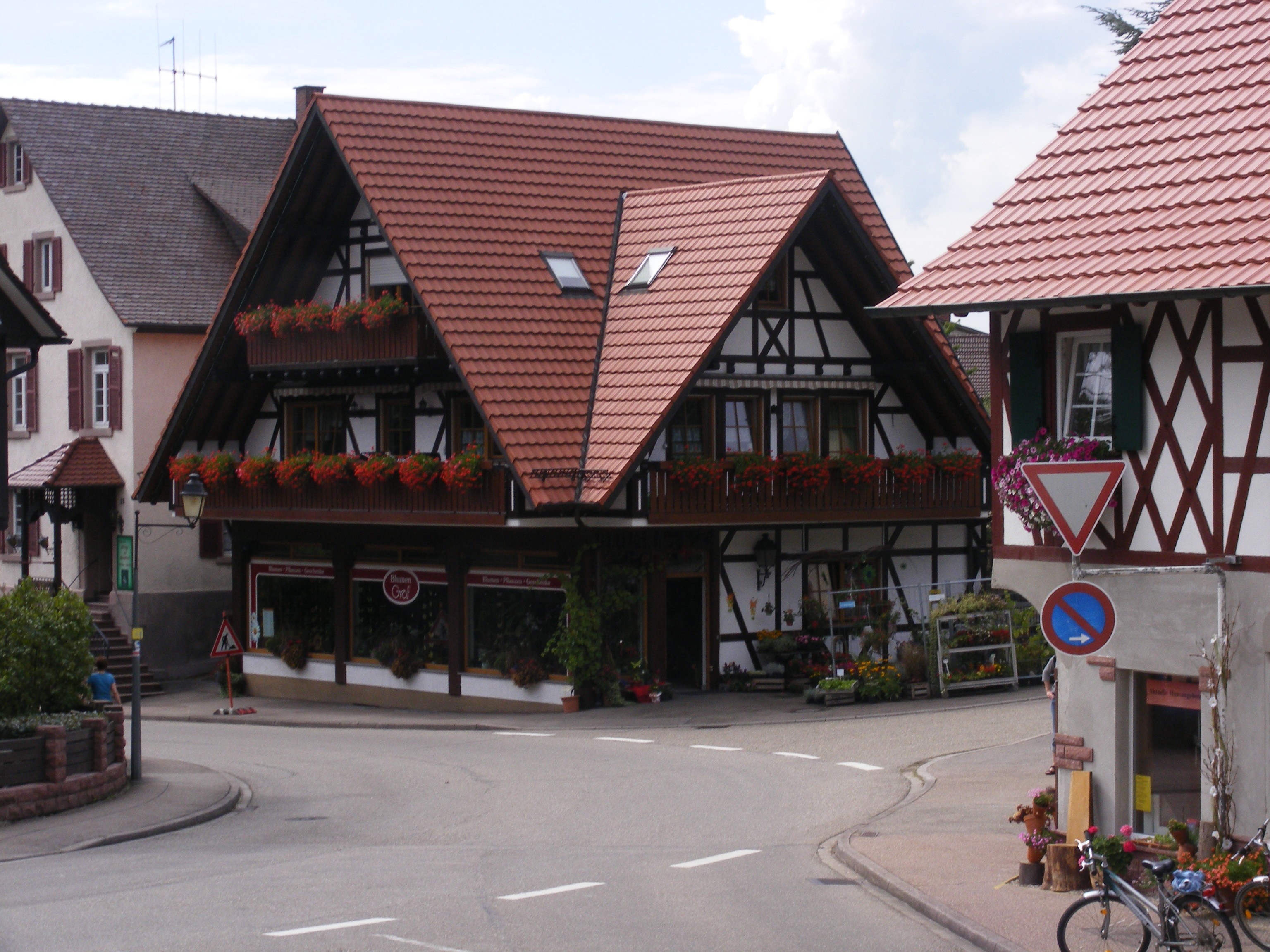 Village with traditional houses in the black forest free image download