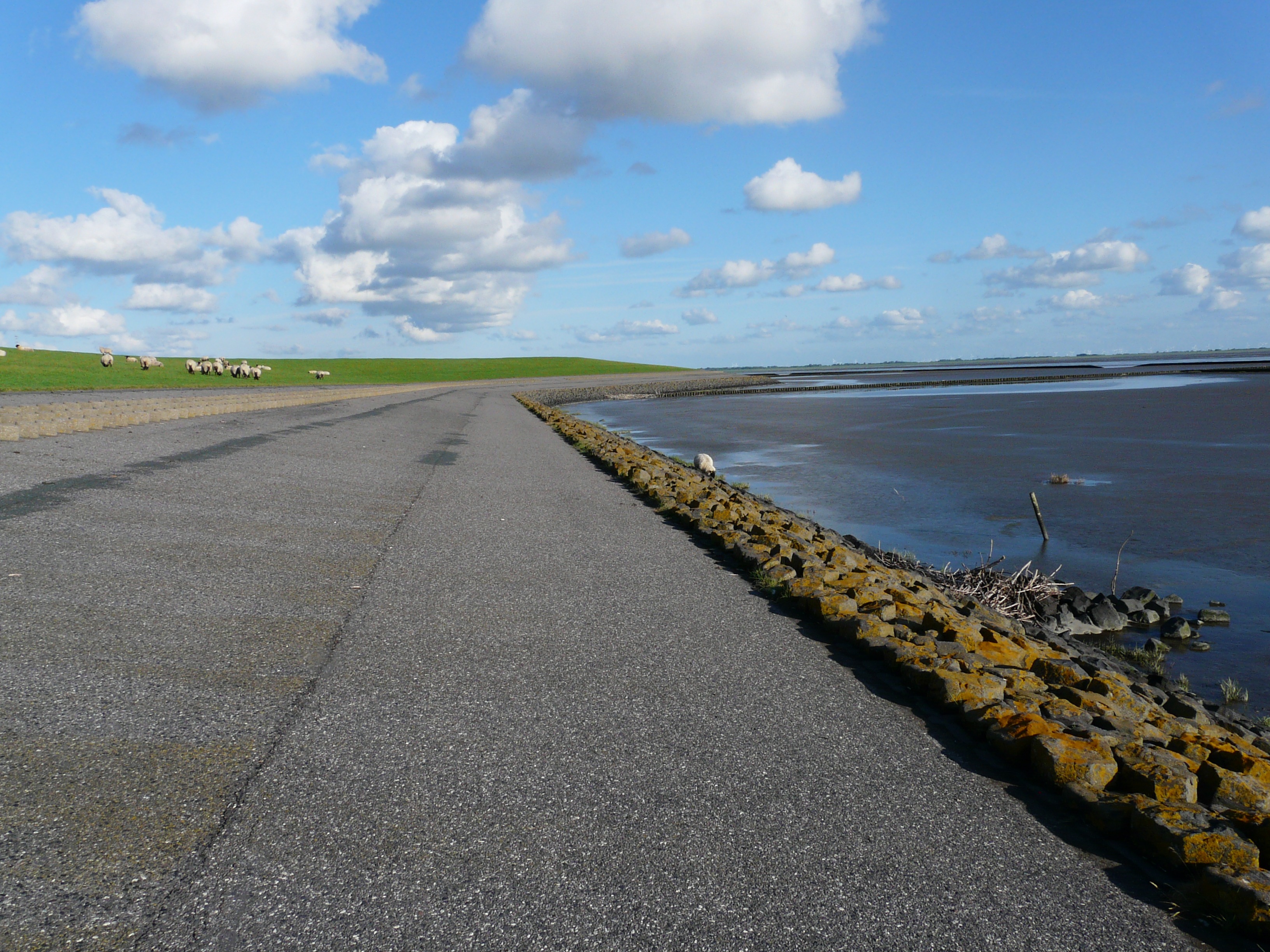 Dyke road near the north sea free image download