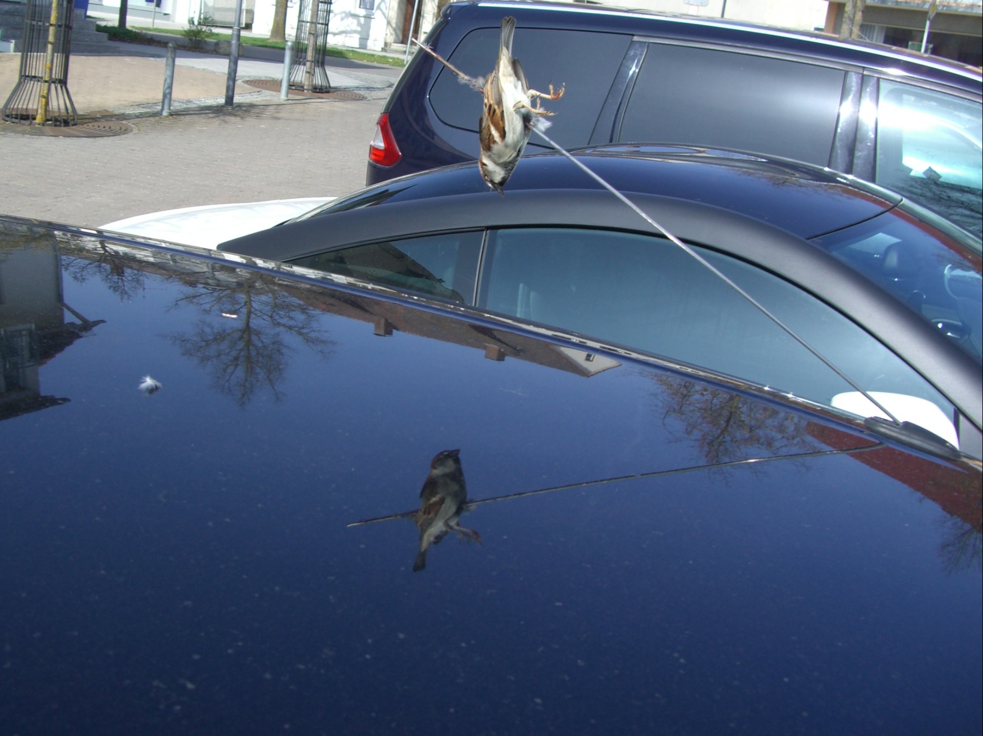 Car roof antenna free image download