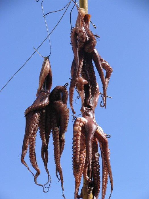 Dried octopus free image download