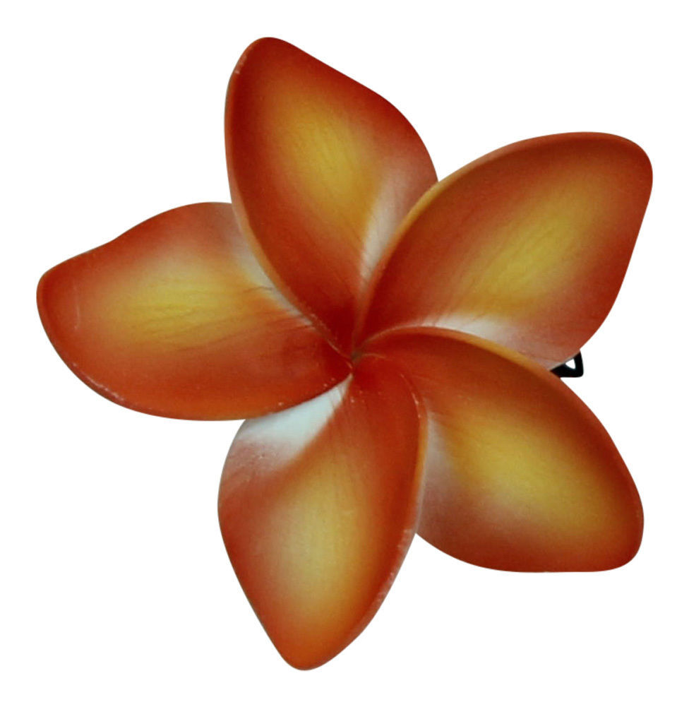 Hawaiian Hair Clip for Luau Flower Dance free image download