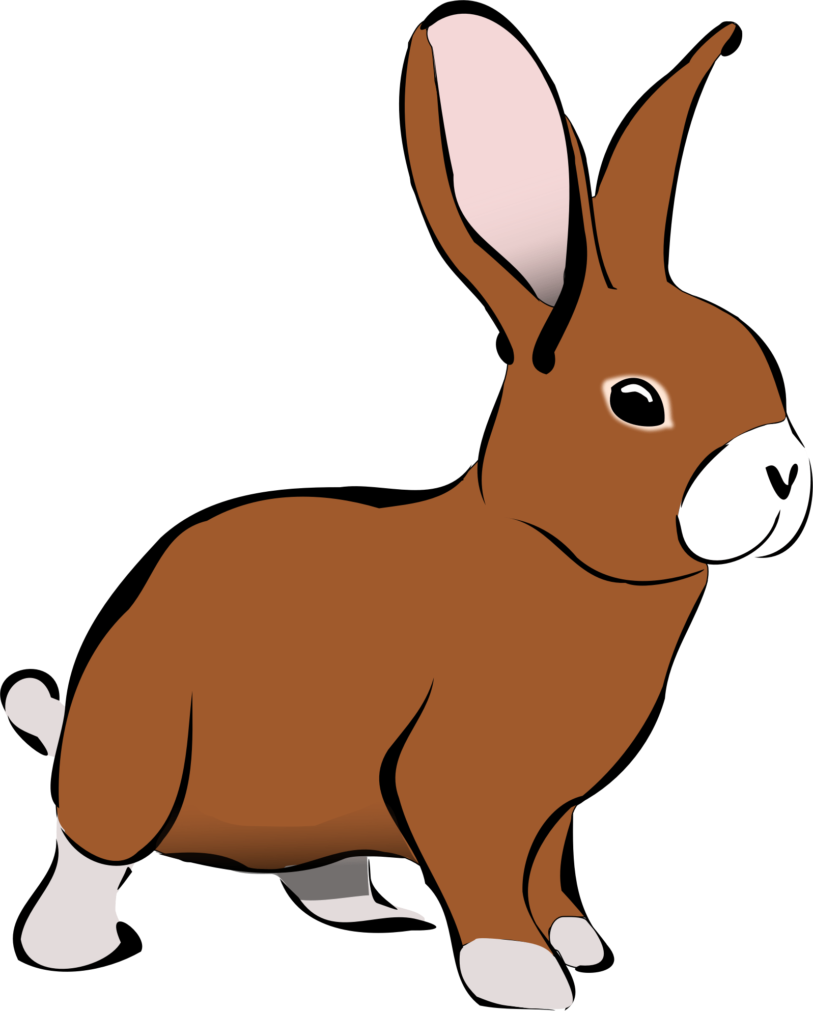Brown rabbit as picture free image download
