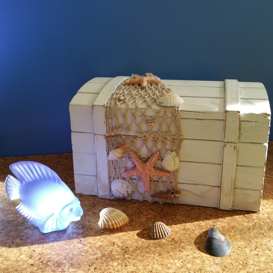 Treasure chest with fish free image download