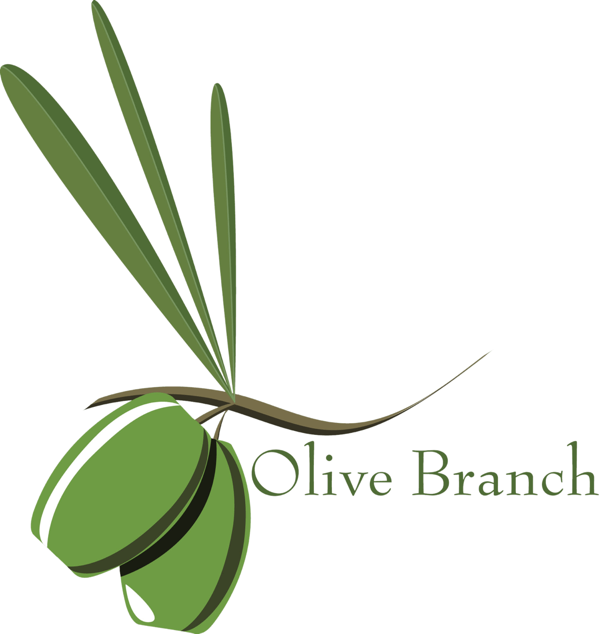 Olives on a green branch as a graphic image free image download