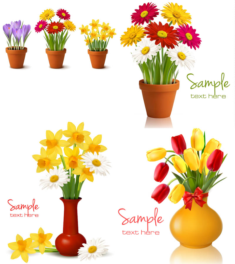 Illustration of the potted flowers free image download