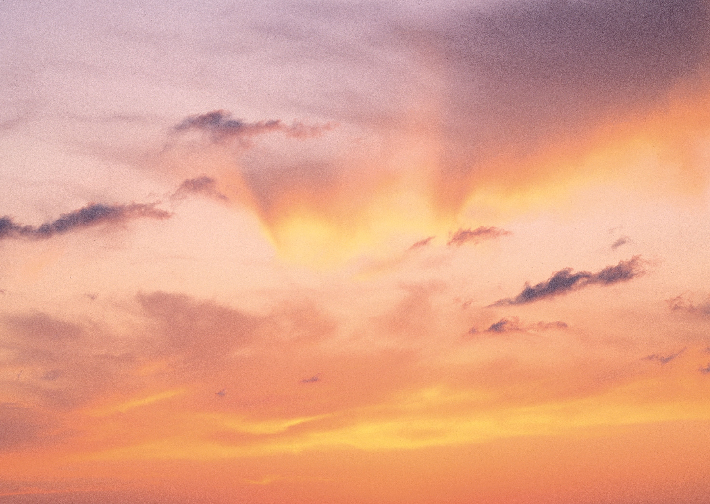 Landscape sunset yellow pink sky free image download