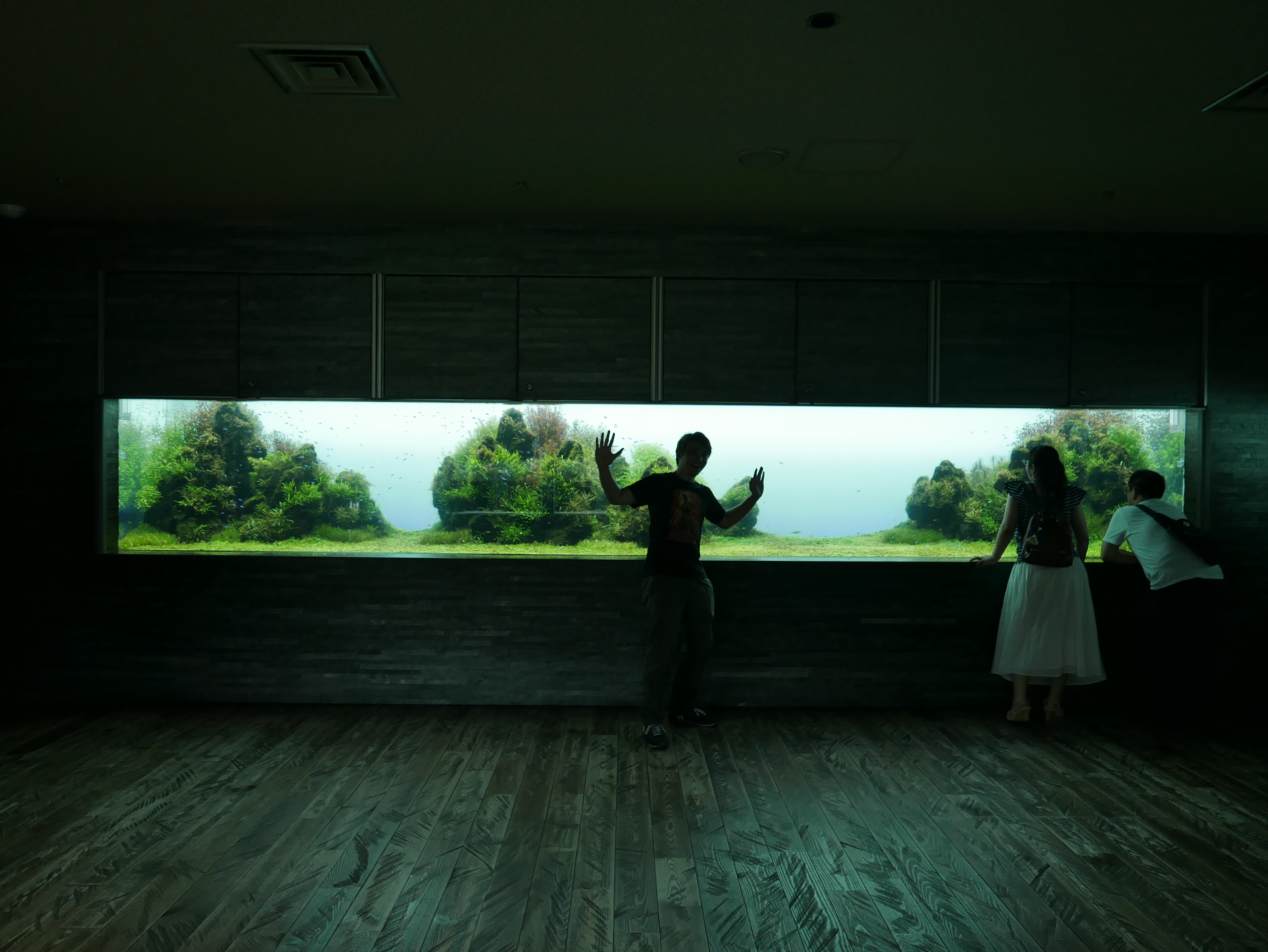 Fish tank in Tokyo free image download