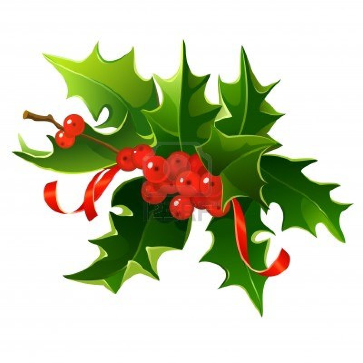 Christmas plant with red berries free image download