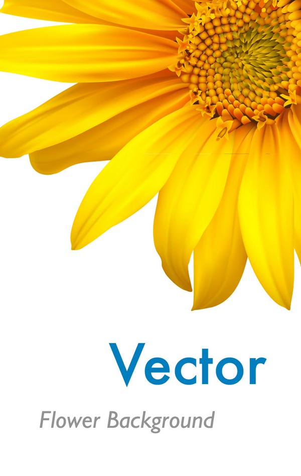 Vector flower background clipart free image download
