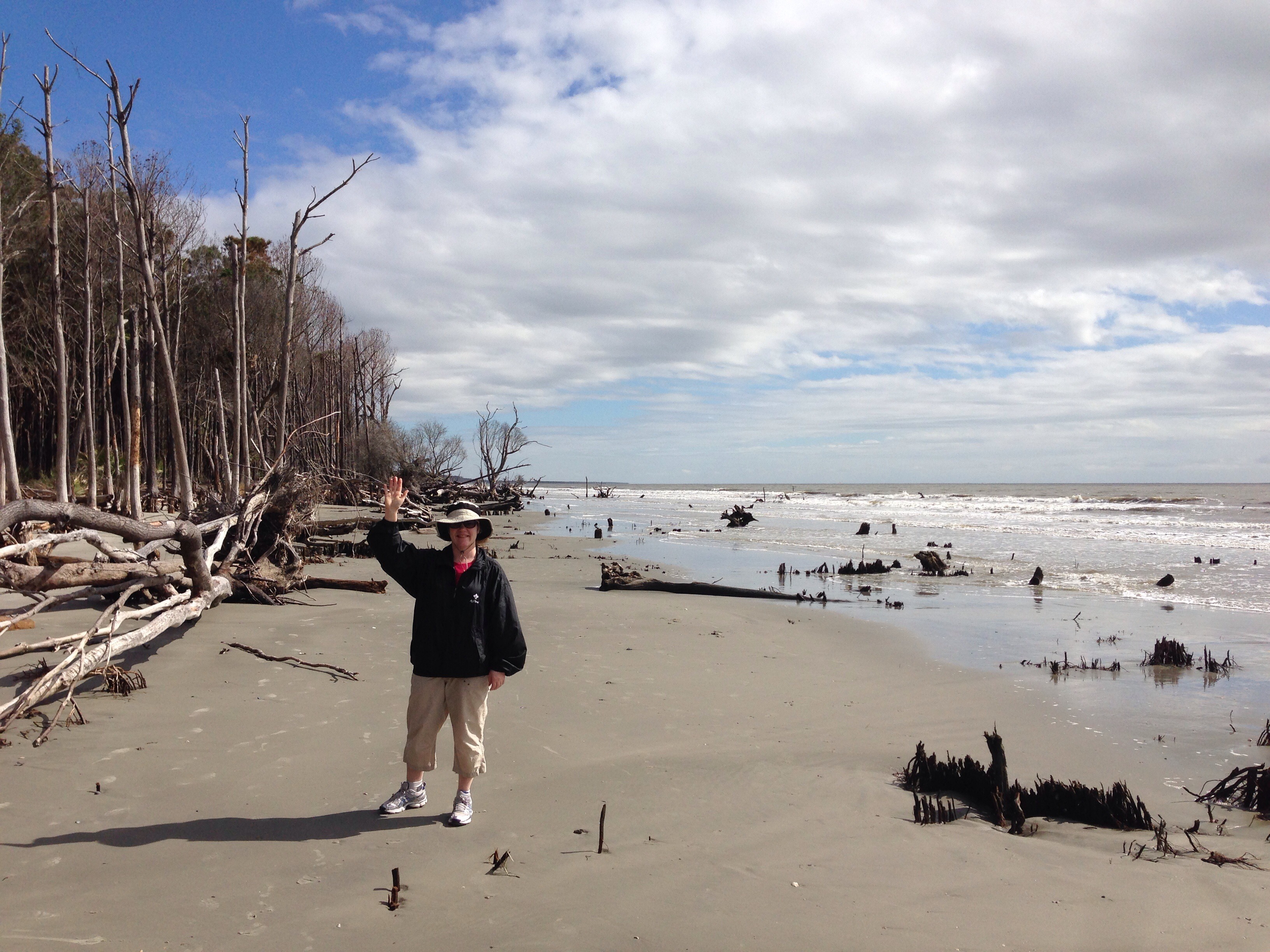 Tourist in the Capers Island, United States free image download
