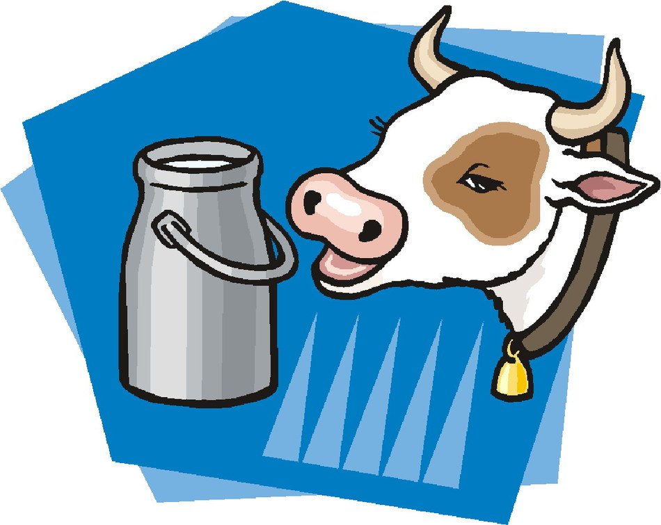 Cow Head Images drawing free image download