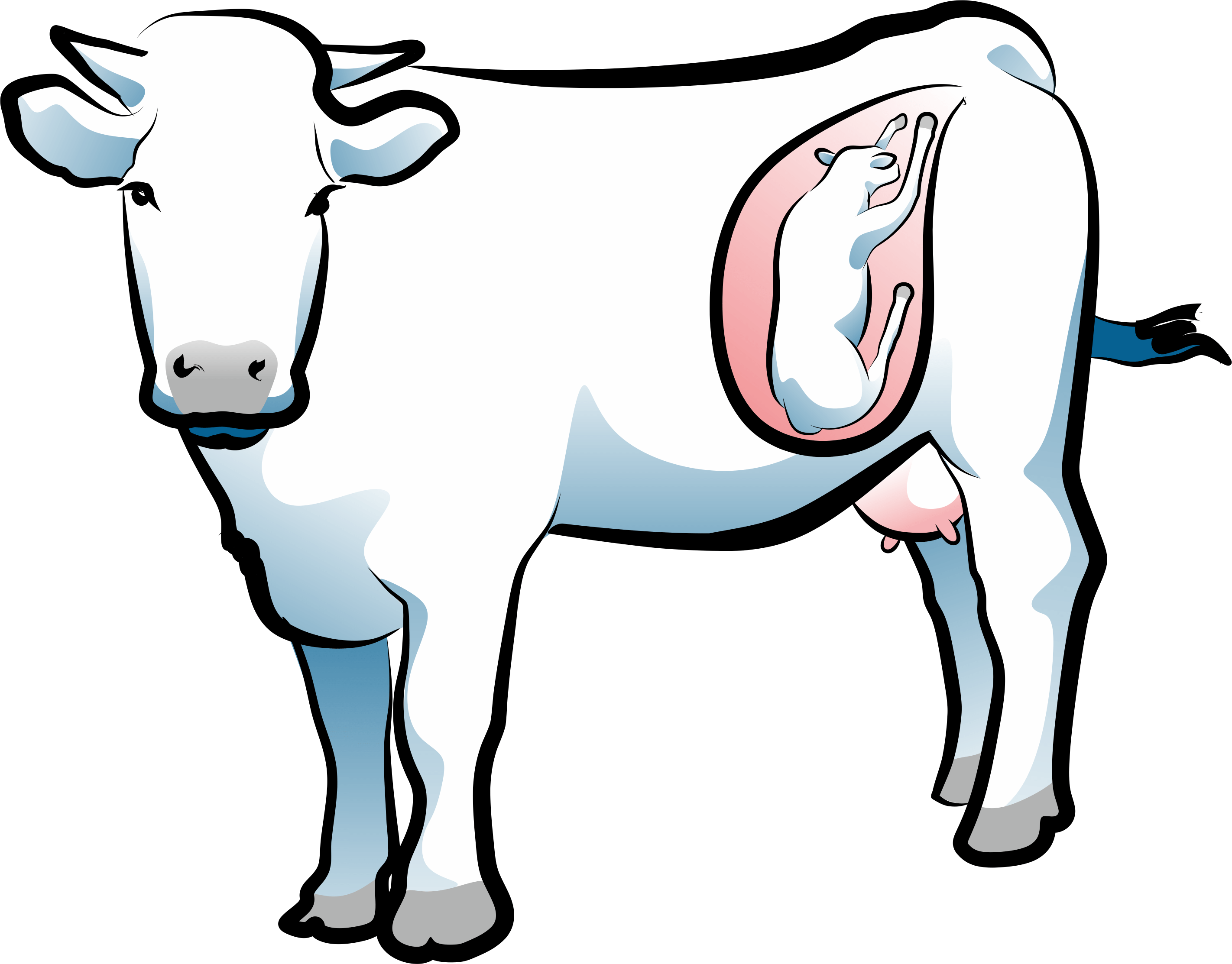 Drawn silhouette of a pregnant cow free image download