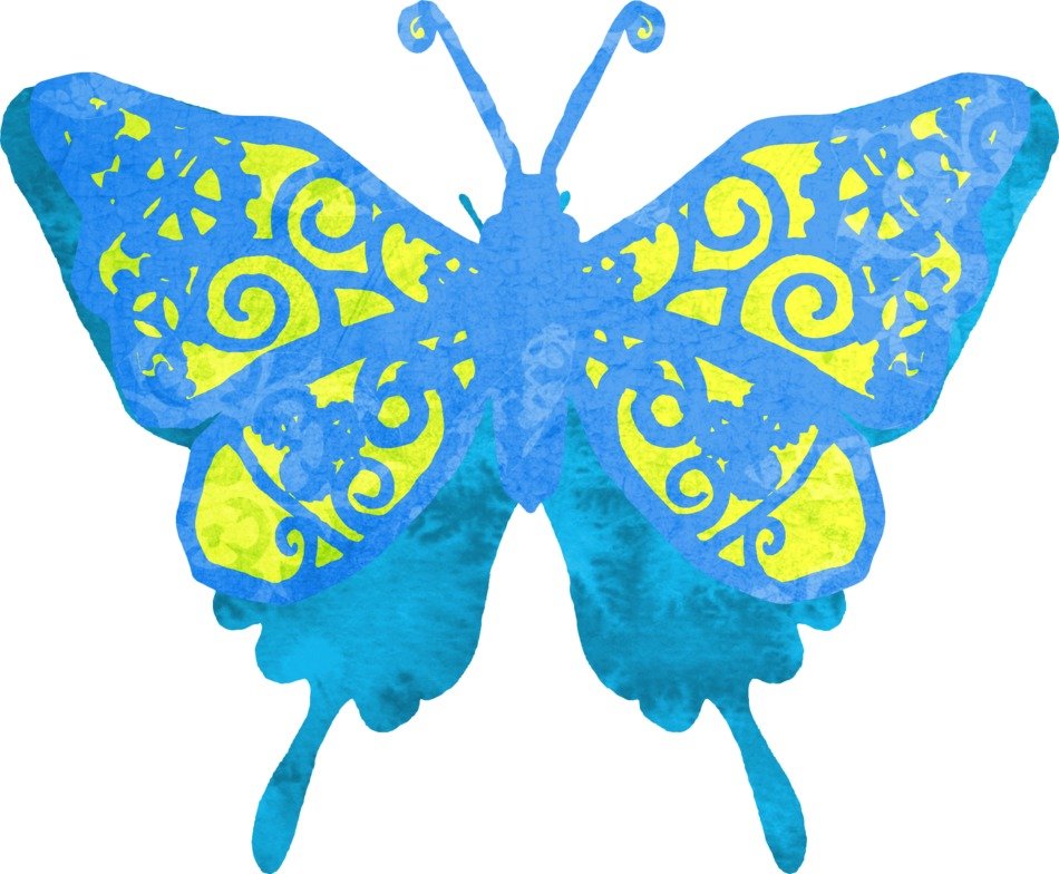 Blue and green Butterfly free image download