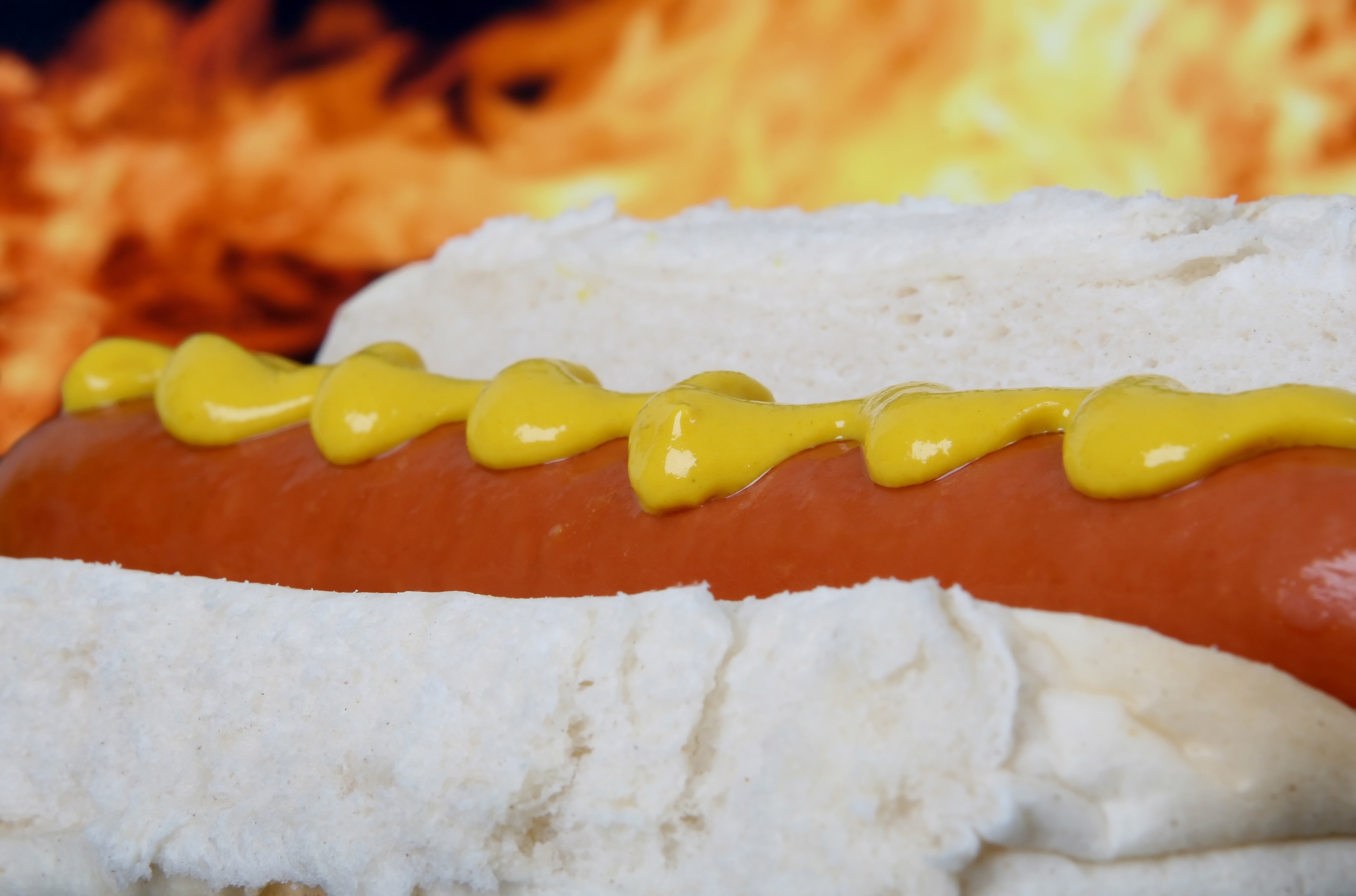 Hot dog with mustard free image download