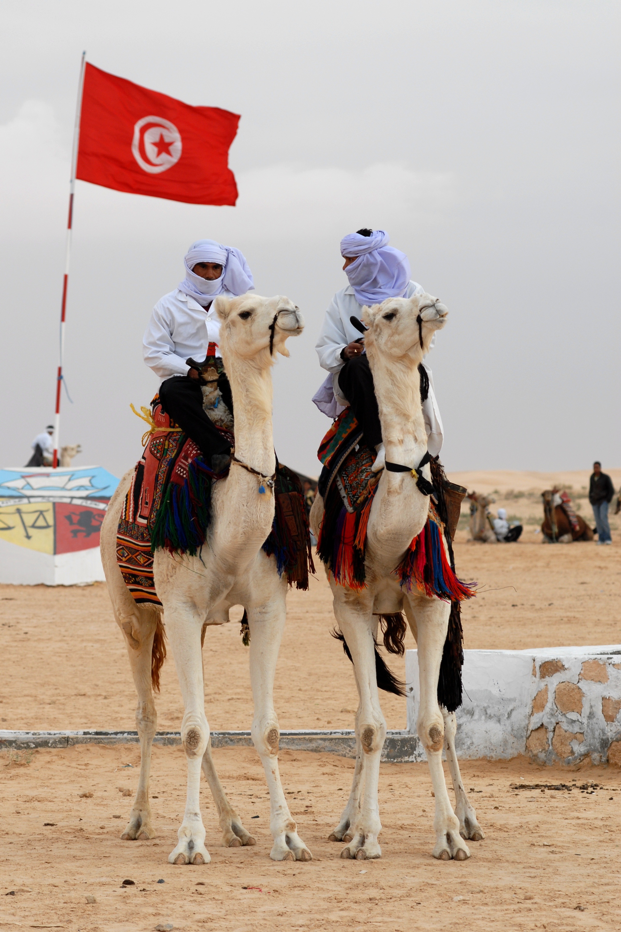 Bedouins on camels with the tunisian flag free image download