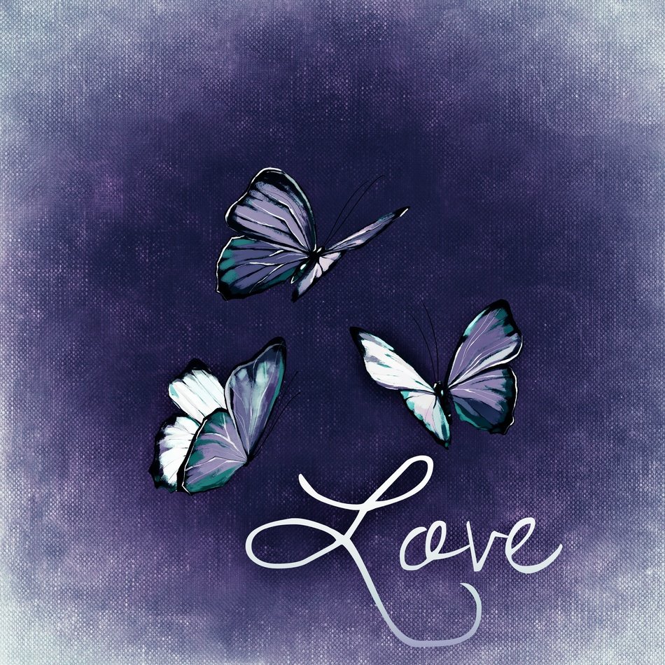 Butterflies Fly Love sign free image download