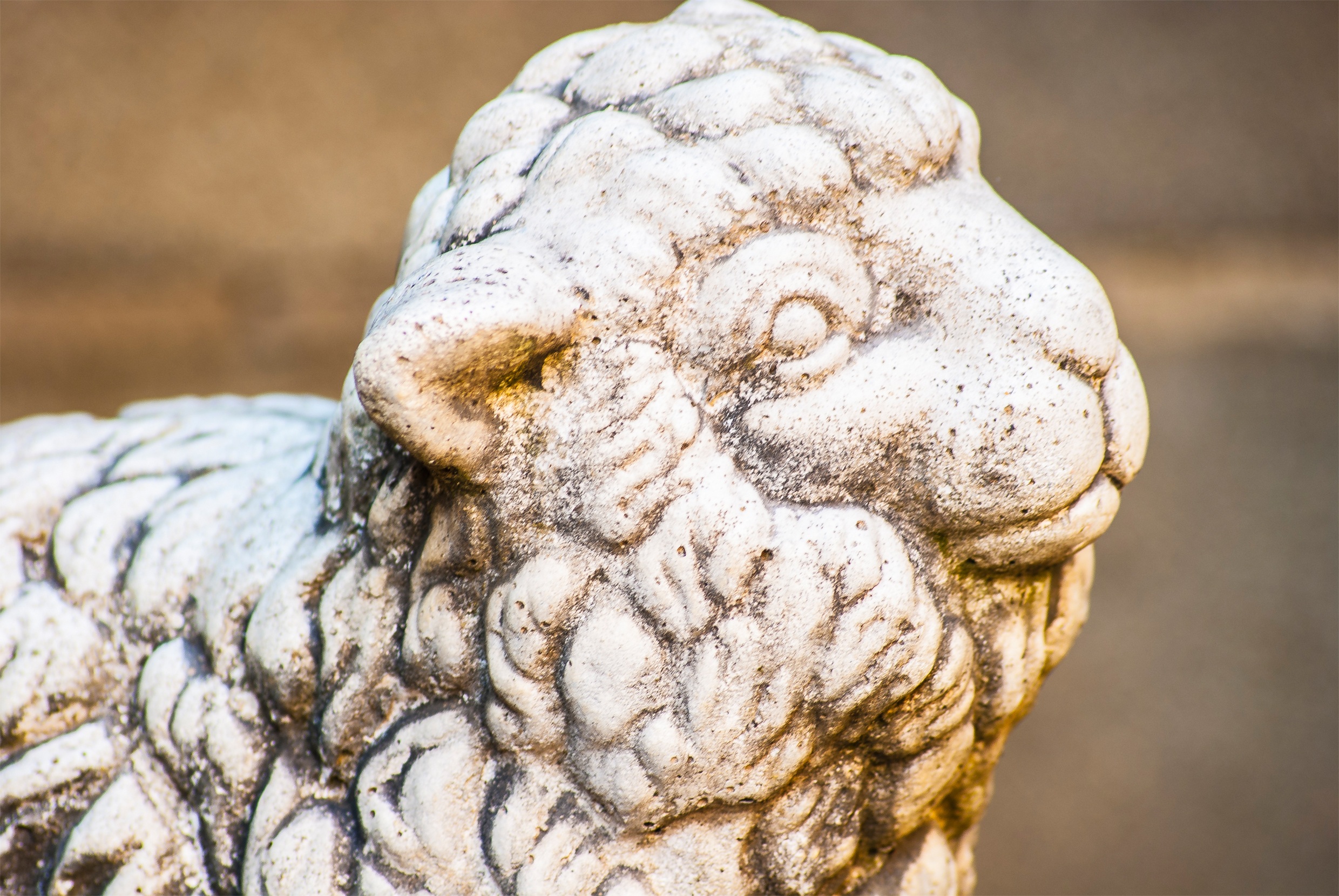 Portrait of the beautiful stone sheep sculpture free image download