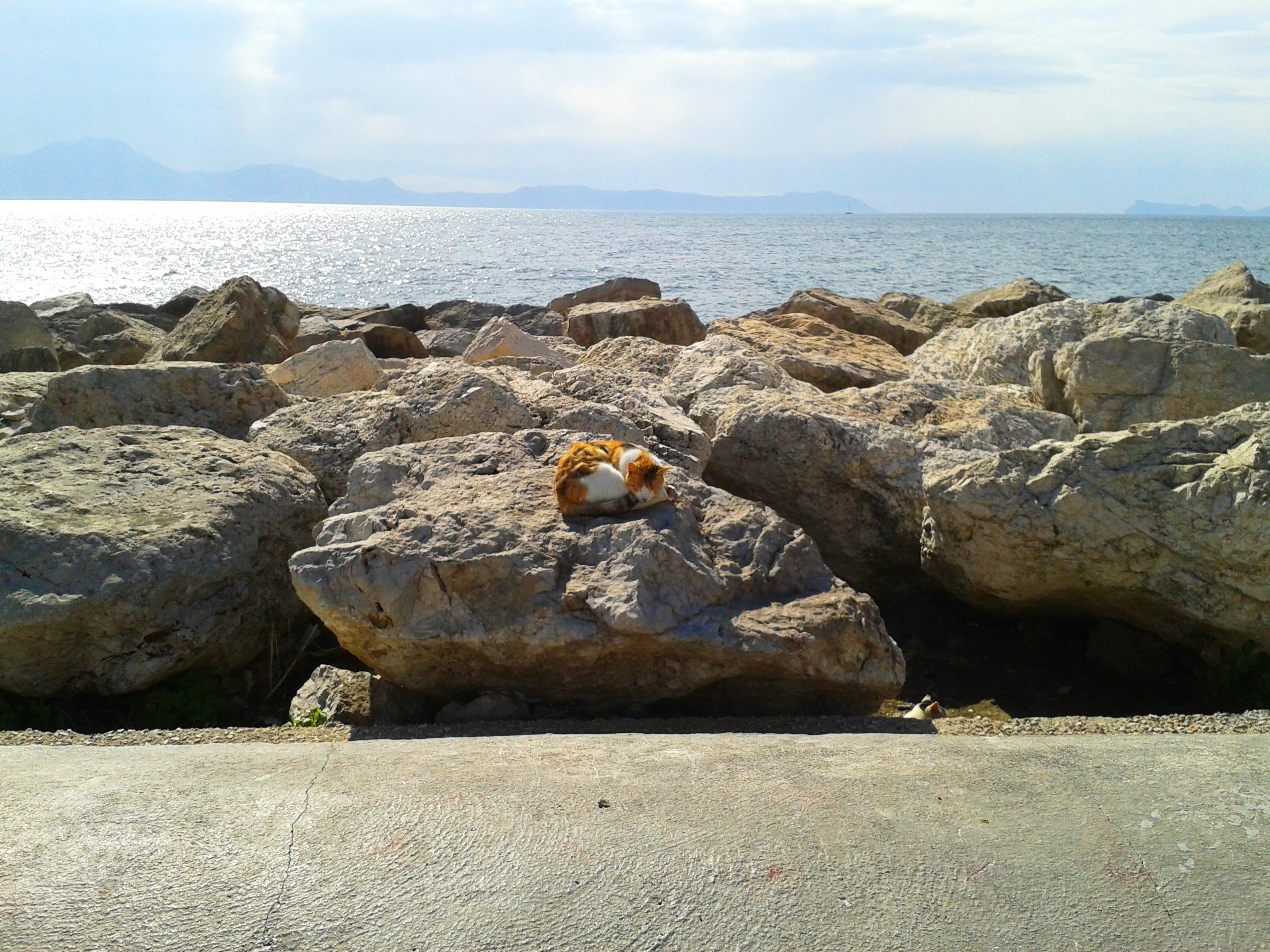 Rocks near the water in naples, sleeping cat free image download