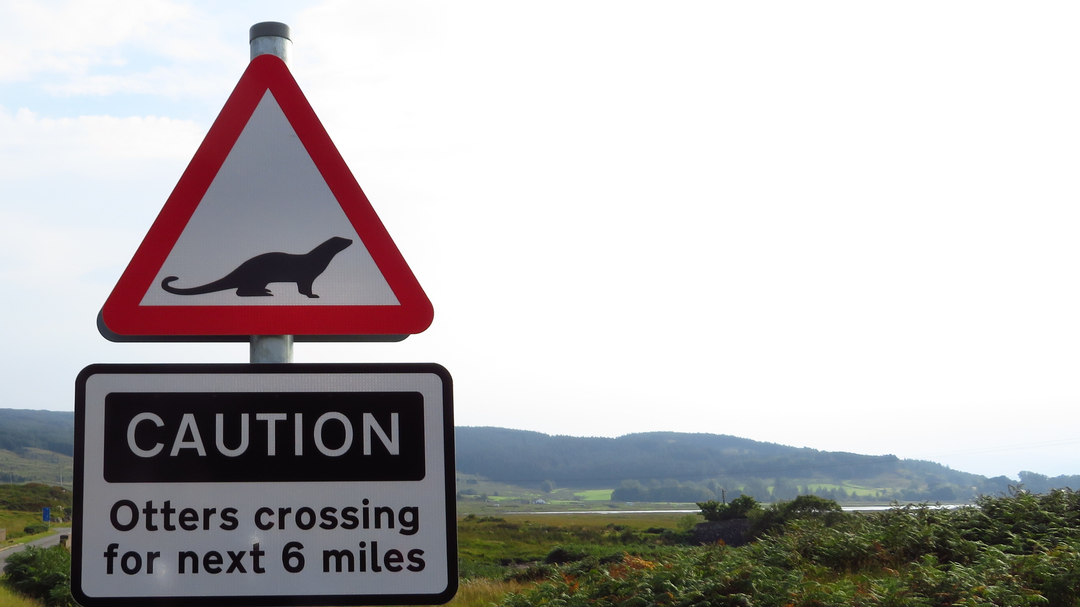 Caution otter Road Sign free image download