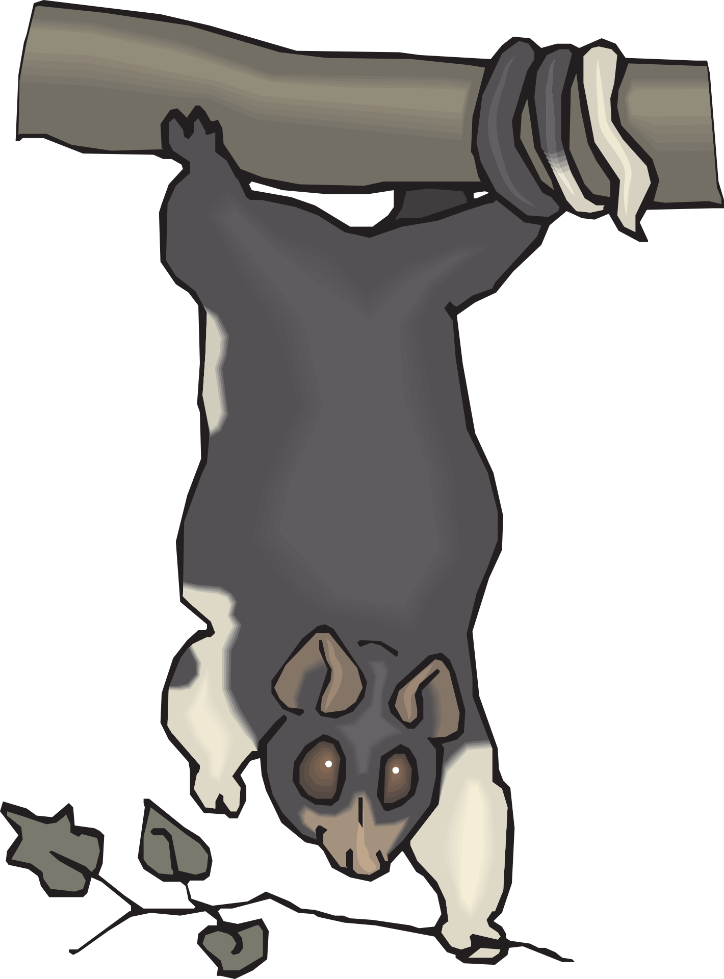 Drawing of an animal hanging from a tree branch free image download