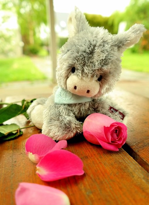 Stuffed donkey toy with pink rose free image download