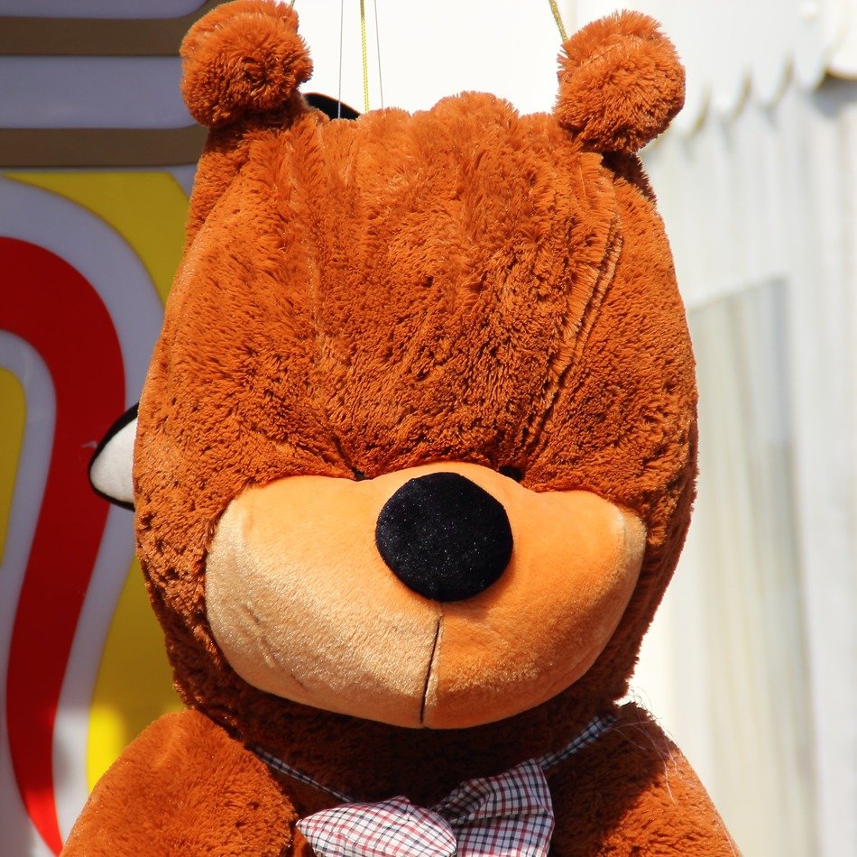 Lot Shop toy free image download