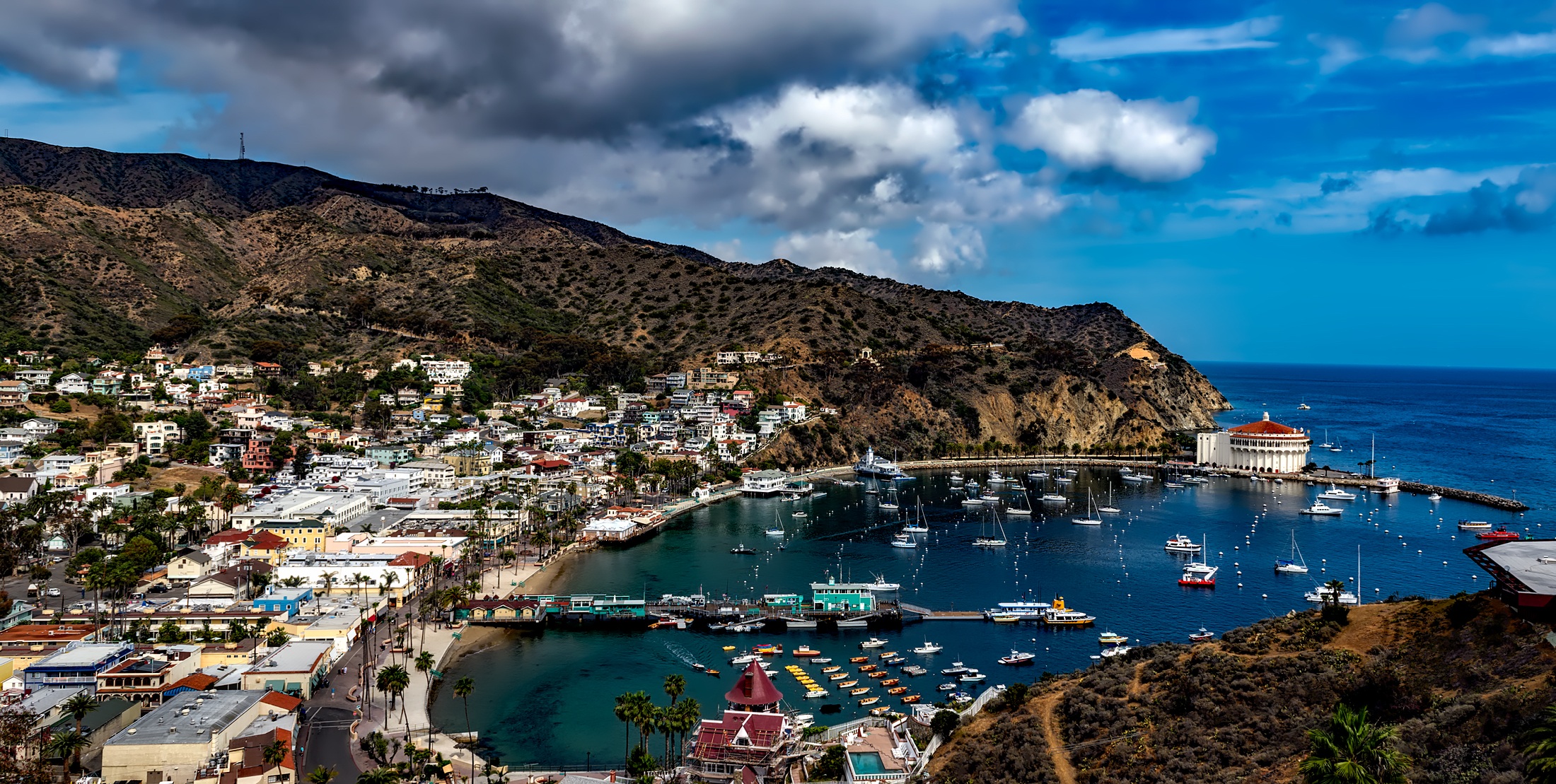Catalina Island free image download