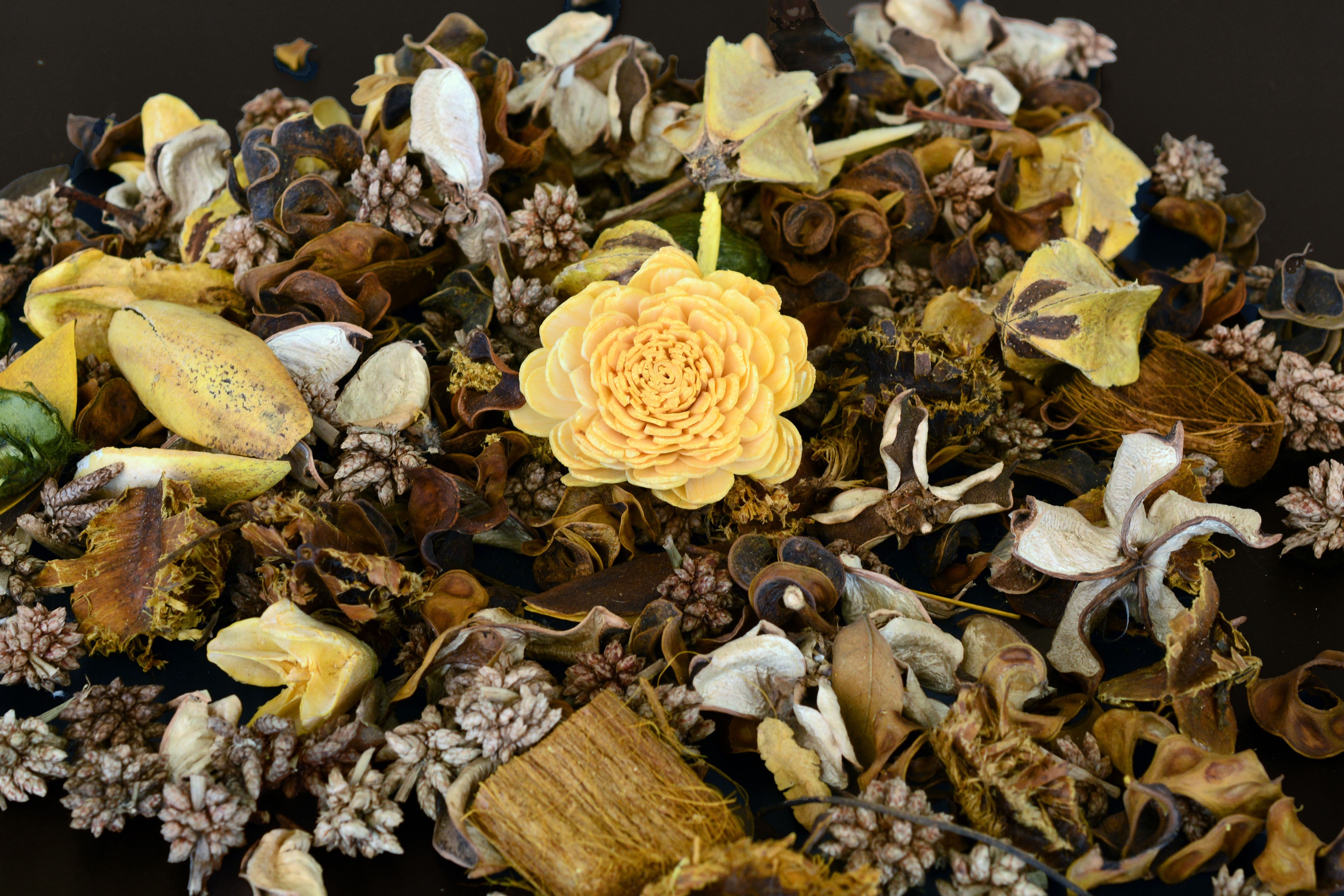 Potpourri Petal Dried Flowers free image download