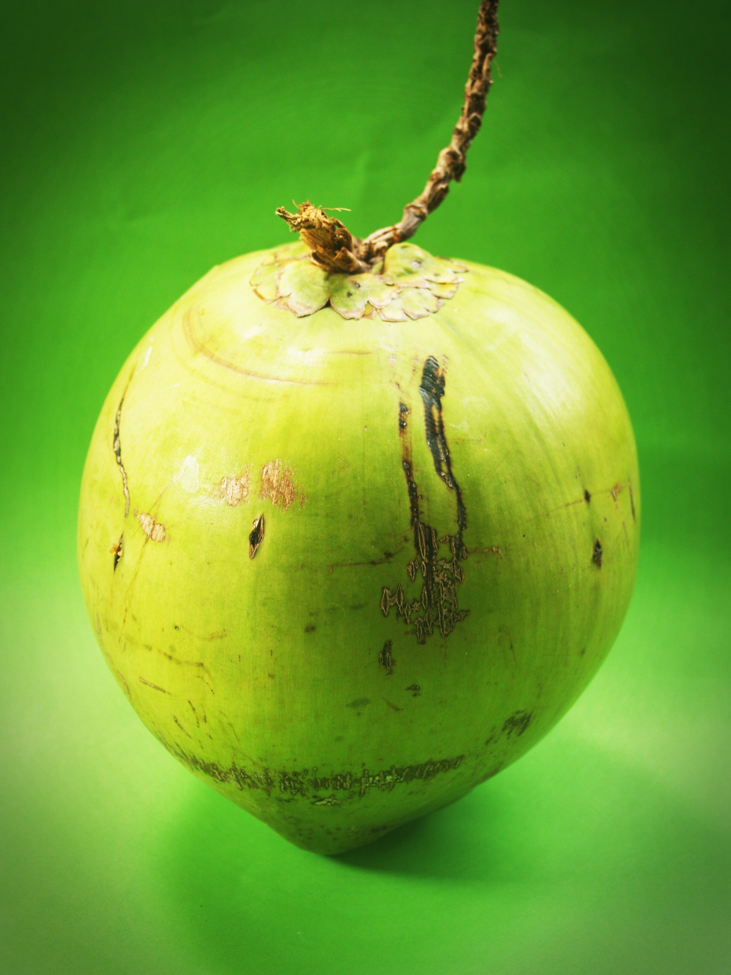 Green coconut on green background free image download