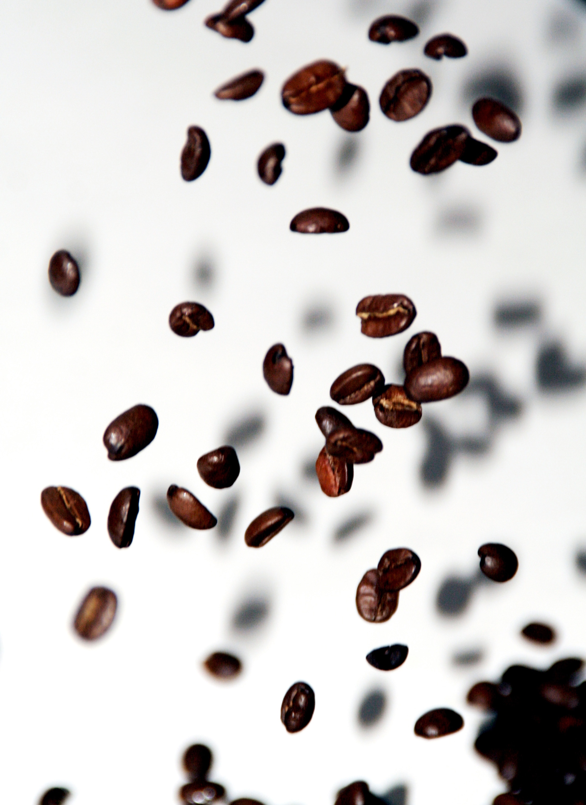 Coffee Beans Coffee Beans Fly free image download