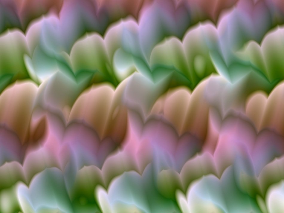 Color flower ornament free image download