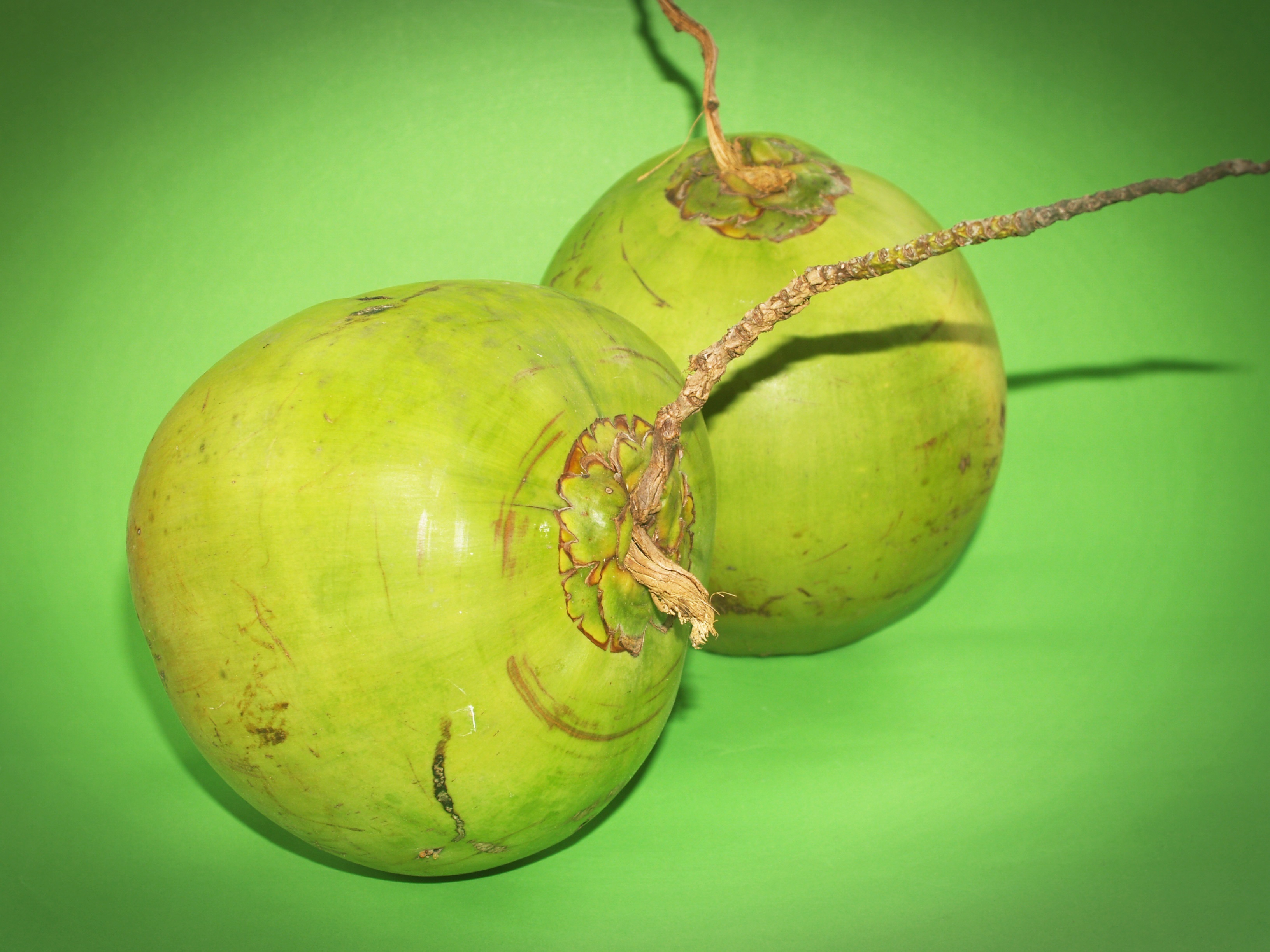 Coconut on a green background free image download