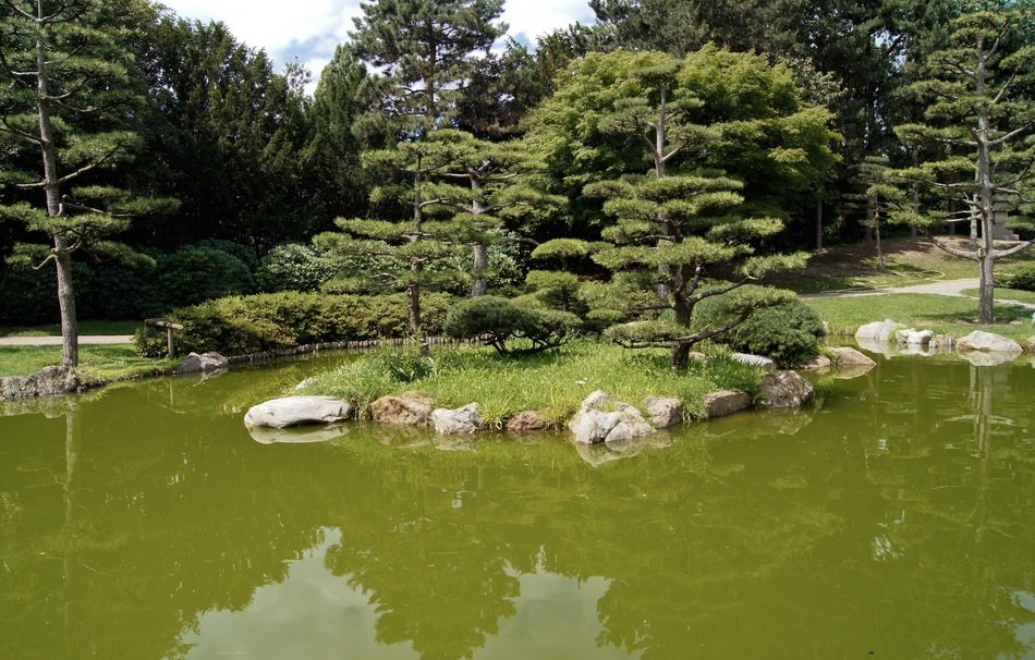 Landscape of Japanese garden with lake free image download