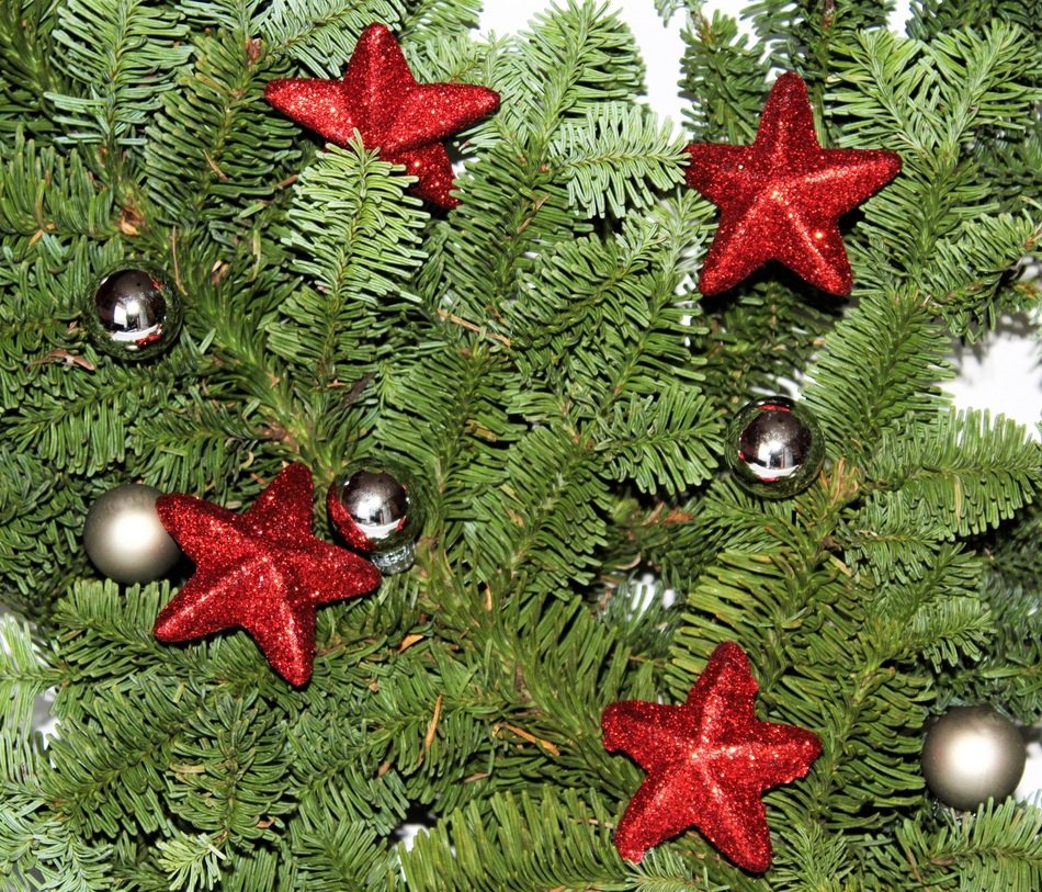 Red stars and balls on the Christmas tree free image download