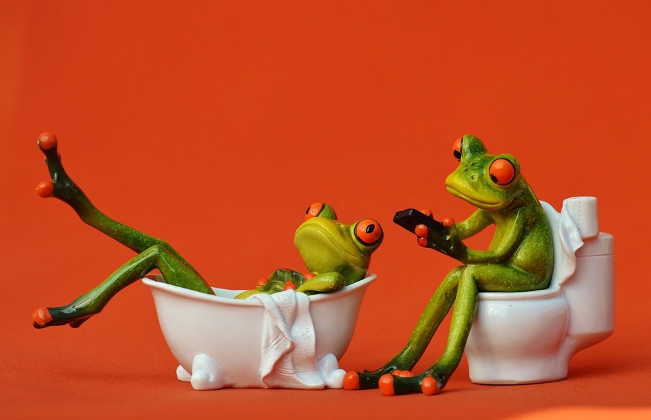 Two frogs in bathroom free image download