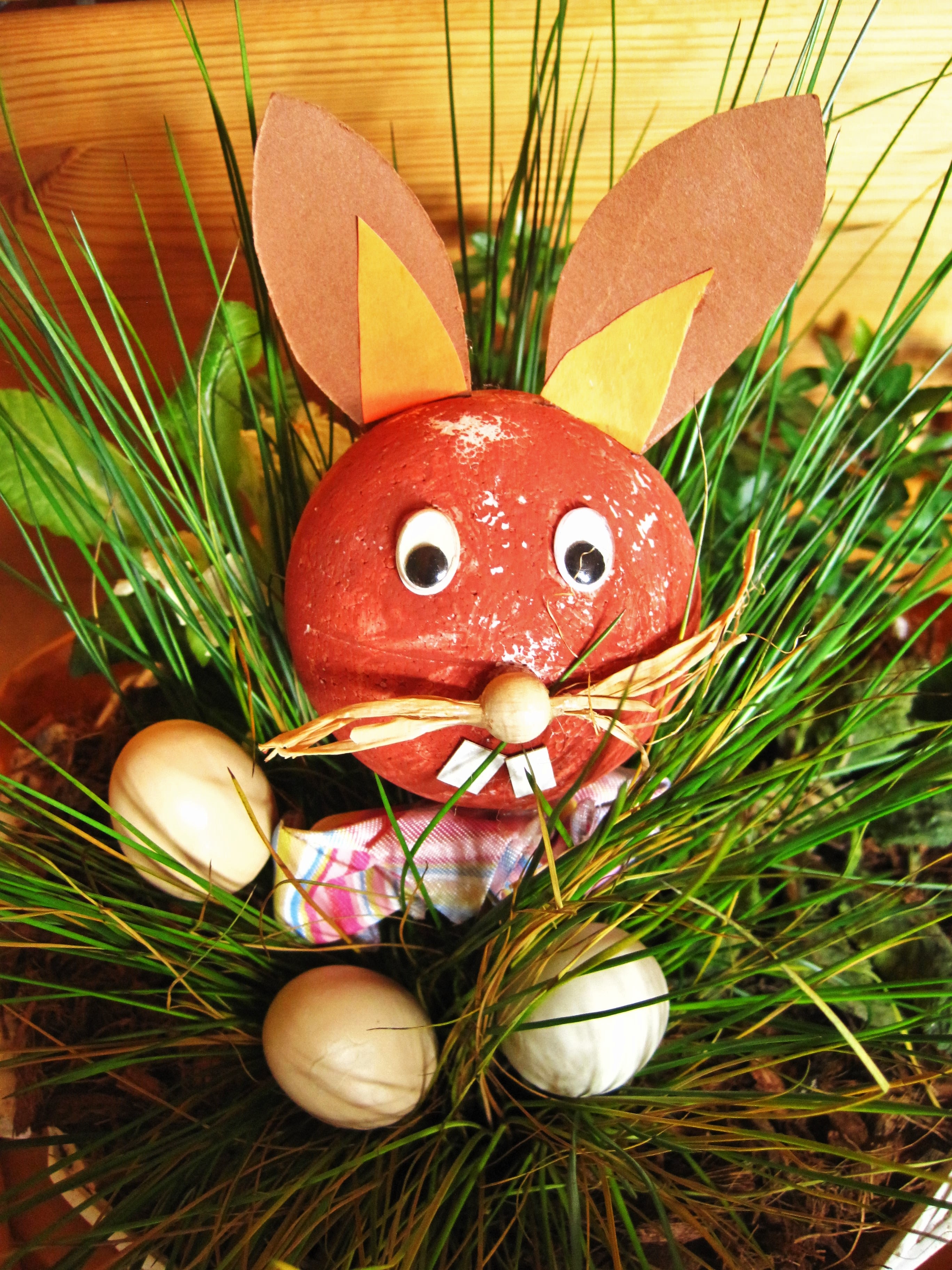 Easter Bunny Decor free image download