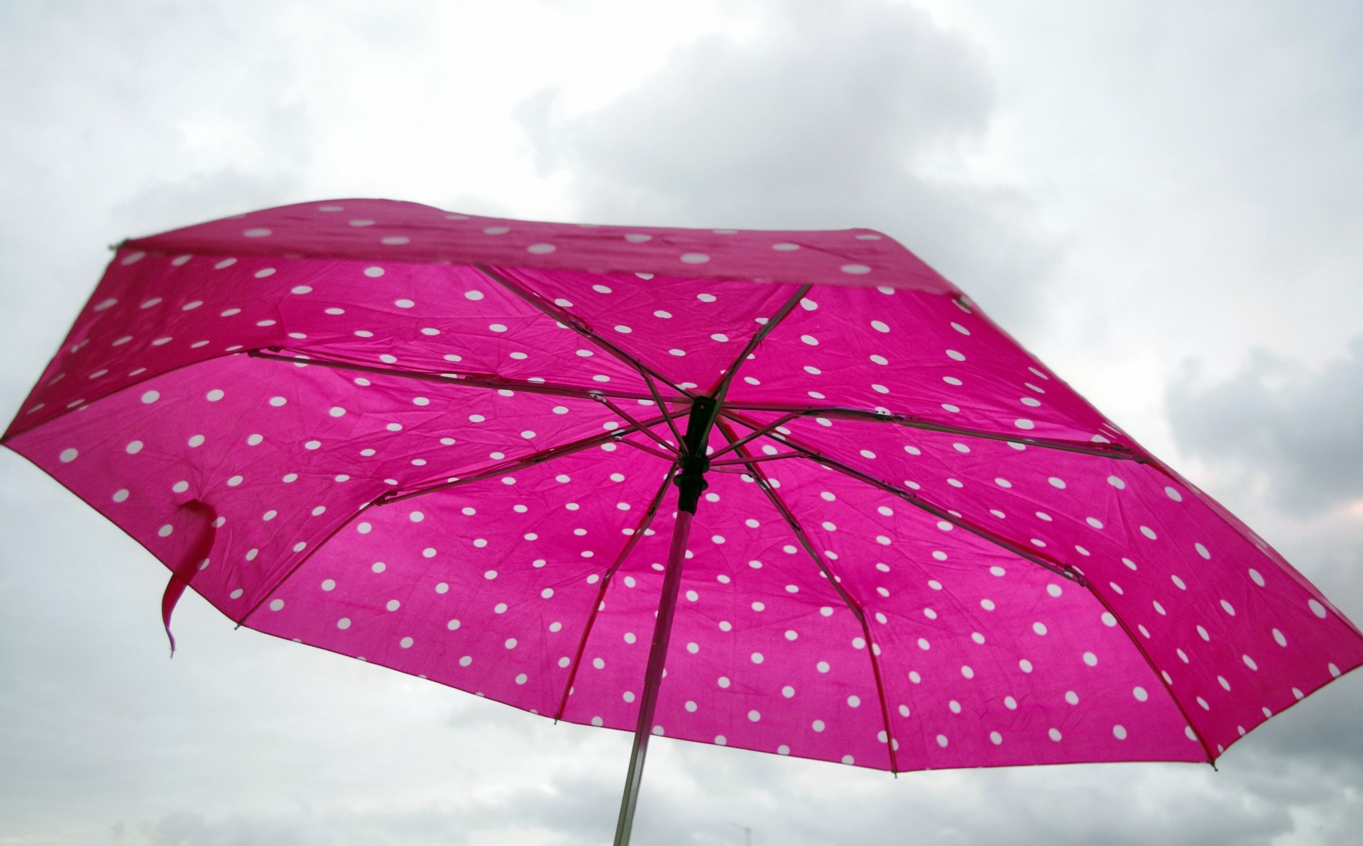 Pink polka dot umbrella free image download