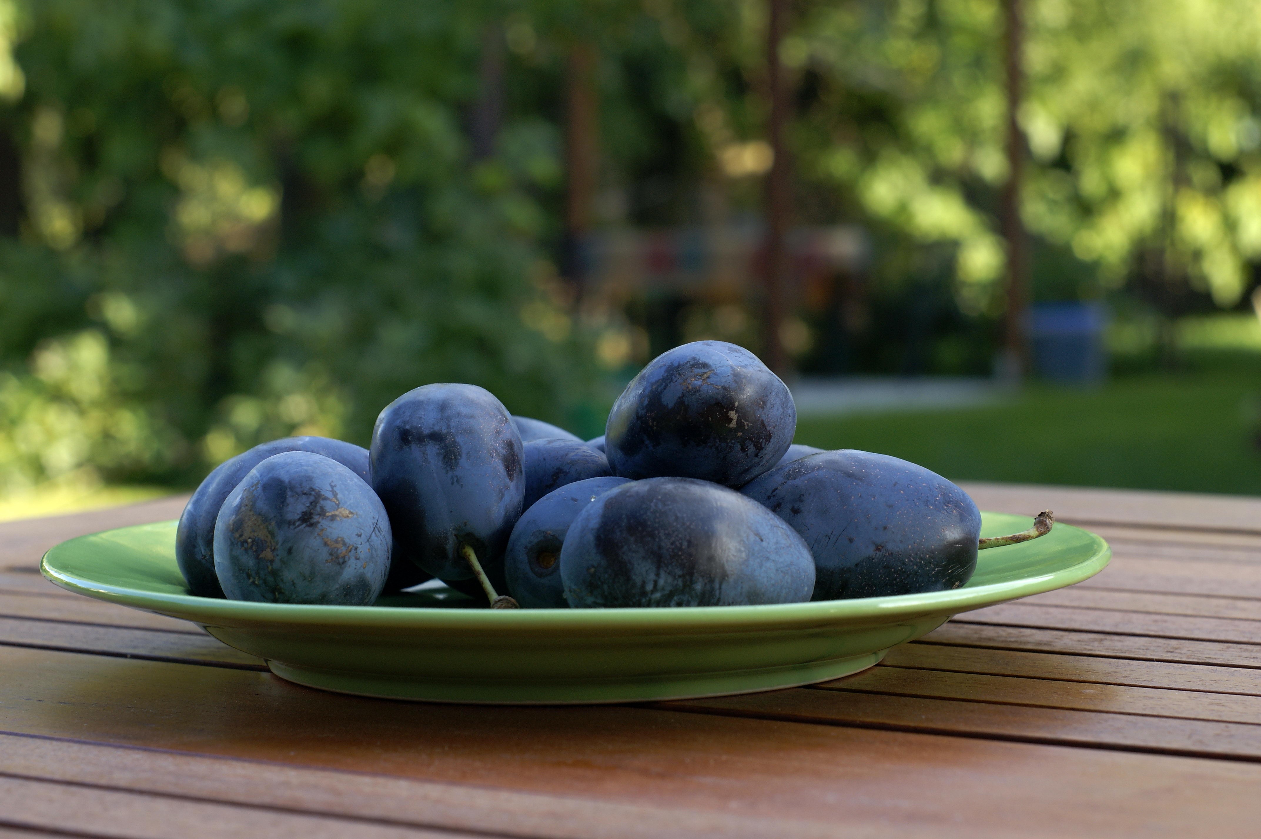 Picture of fresh Plums free image download