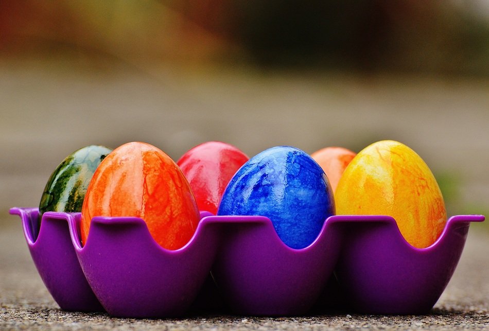 Bright easter eggs in a purple tray free image download