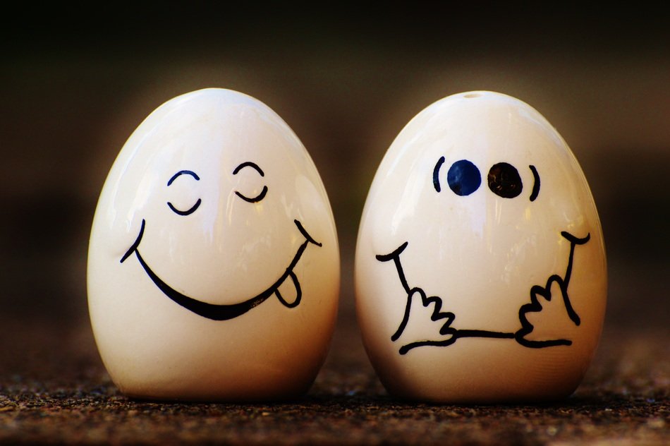 Funny salt and pepper shakers free image download