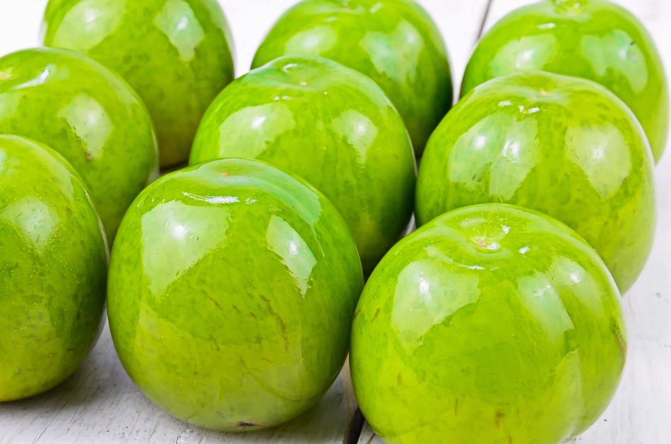 Glossy healthy plums free image download