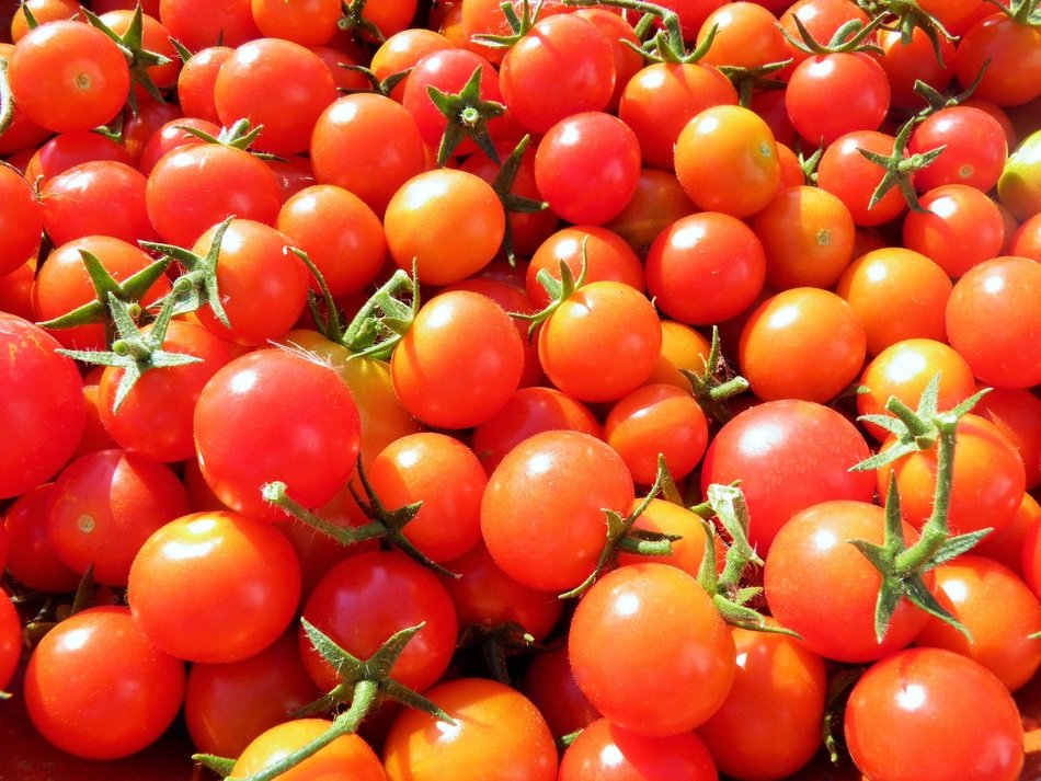 Many ripe cherry tomatoes free image download