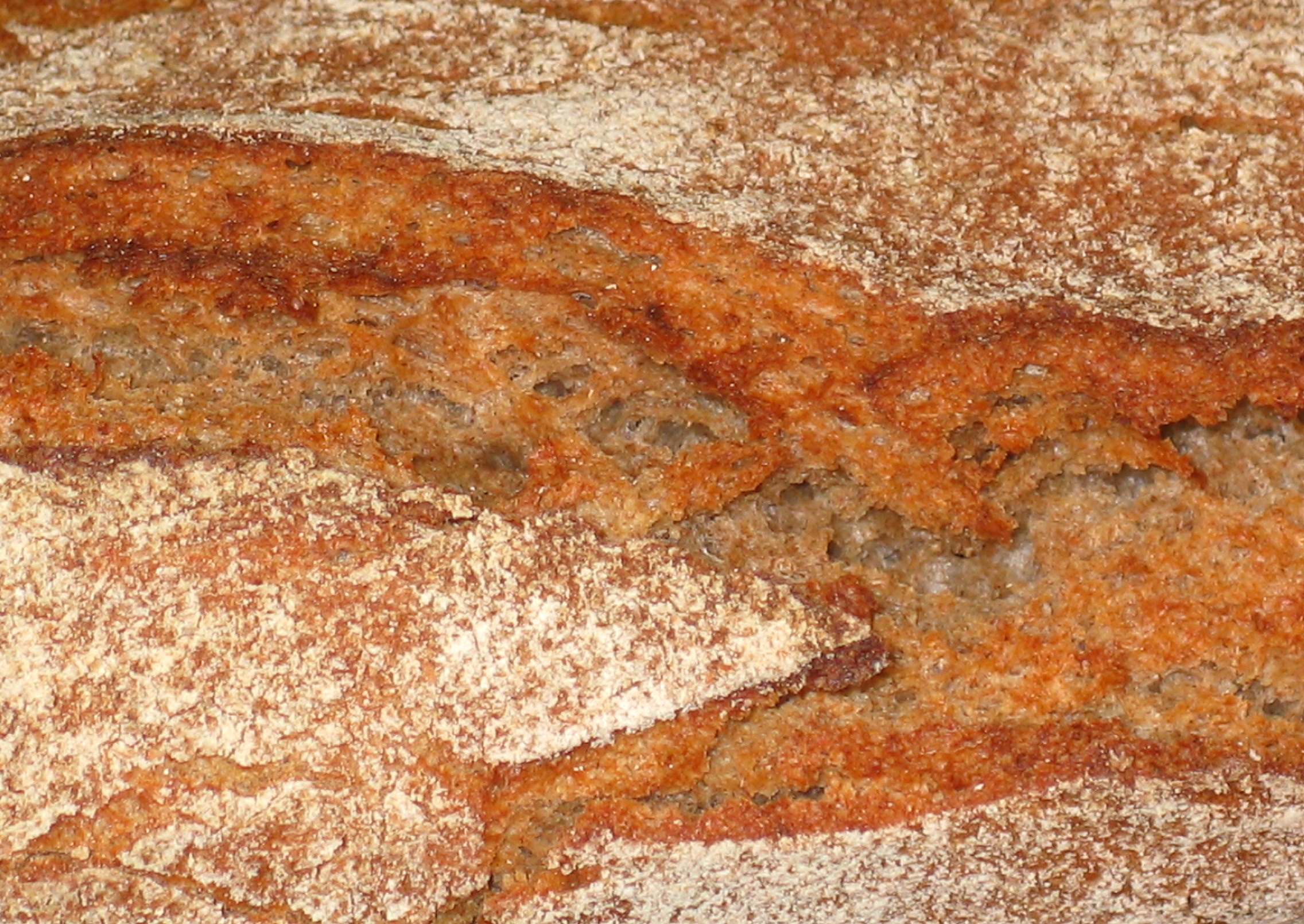 Crispy bread crust free image download