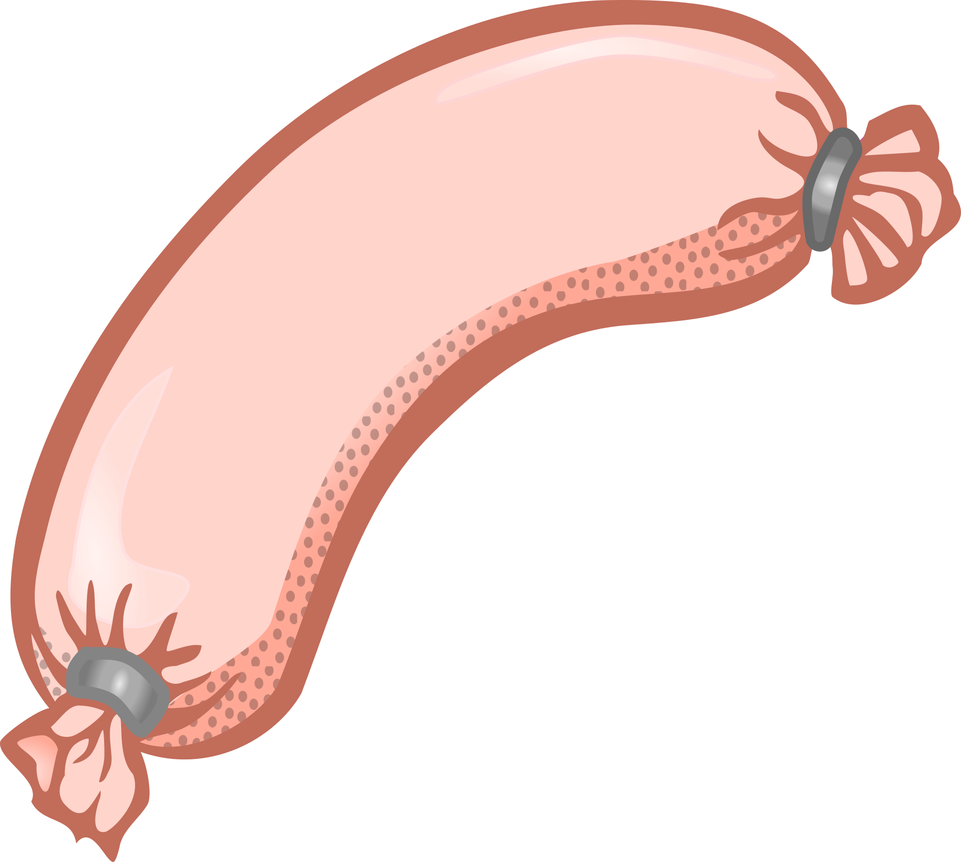 Drawing of a sausage free image download